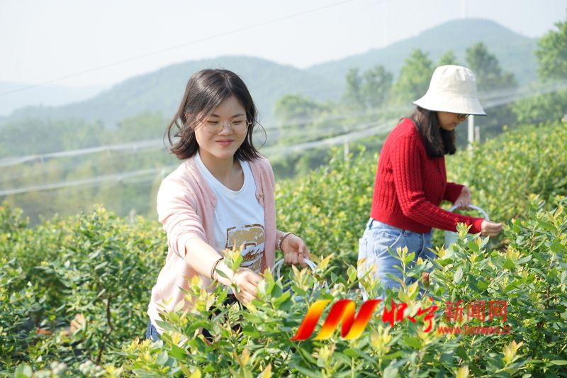 IMG_1612.JPG IMG_1612.JPG