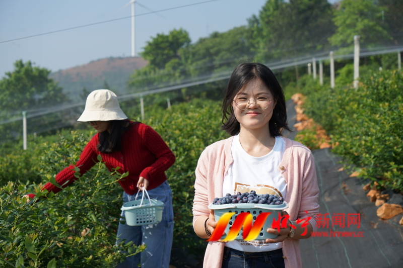 IMG_1609.JPG IMG_1609.JPG