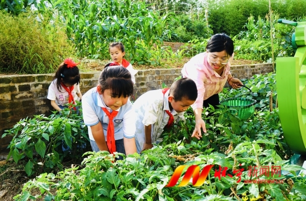 小菜園 大勞動(dòng)2.JPG