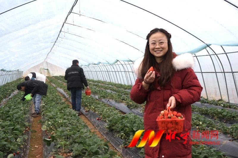 春日.JPG 春日.JPG