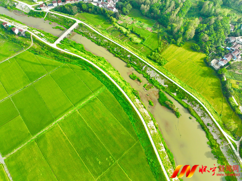 珠流河滋潤萬頃良田.JPG