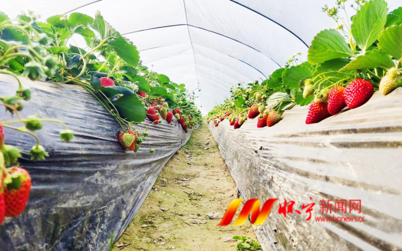 圖片2.png 圖片2.png