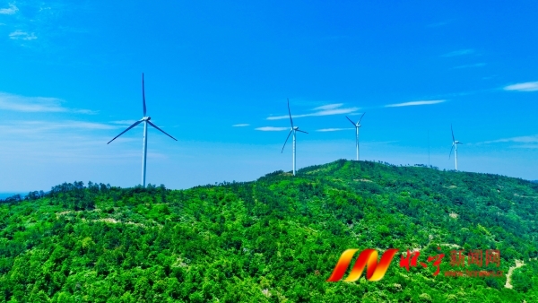 風力發(fā)電助綠色發(fā)展2.jpg