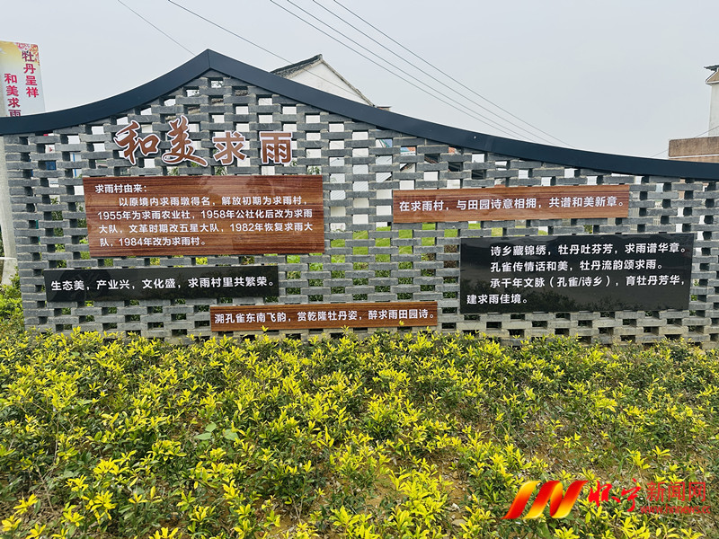 以花為媒 以詩為介.JPG